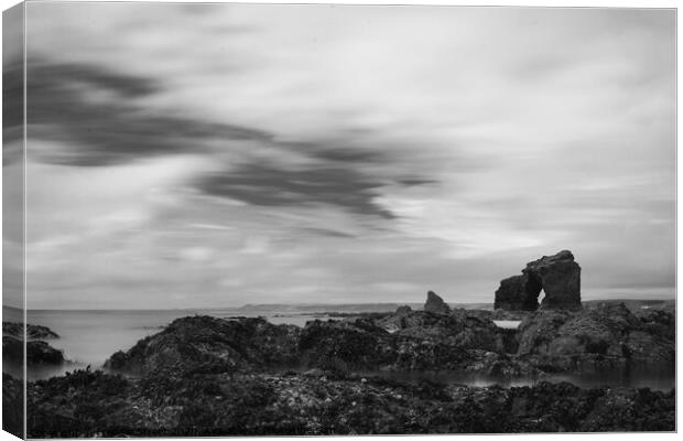 Calmness in nature Canvas Print by Freddie Street