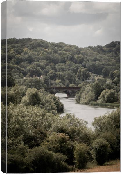 A bridge amongst nature Canvas Print by Freddie Street