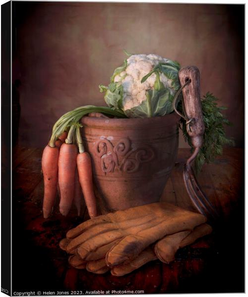 Vegetables and Plant pot  Canvas Print by Helen Jones