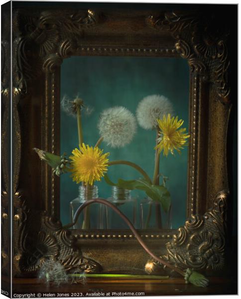 Still lifecycle of dandelions Canvas Print by Helen Jones