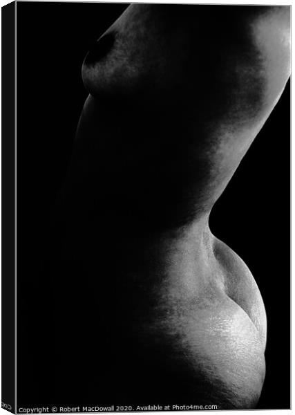 Abstract female nude torso in monochrome Canvas Print by Robert MacDowall