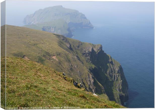 Soay viewed from atop Conachair on Hirta, St Kilda Canvas Print by Robert MacDowall