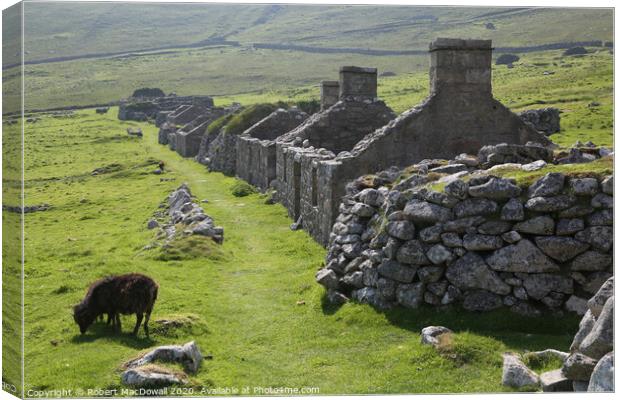 The remains of the Village on Hirta, St Kilda - 3 Canvas Print by Robert MacDowall