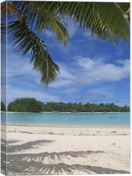 Koromiri Island, Rarotonga from Muri Beach with palm tree Canvas Print by Robert MacDowall
