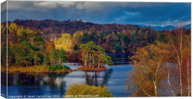 Stunning Autumn Colours at Tarn Hows Canvas Print by Janet Carmichael