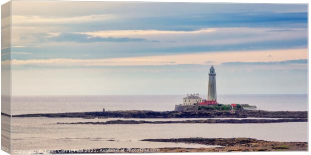 Sunrise at St Mary's Lighthouse  Canvas Print by Janet Carmichael
