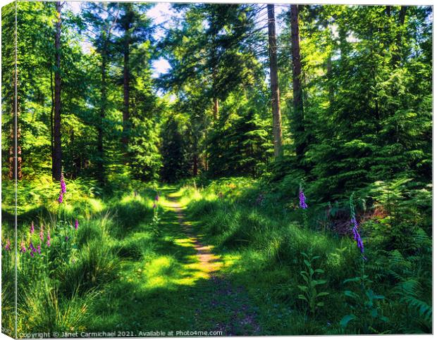 Enchanting Woodland Pathway Canvas Print by Janet Carmichael