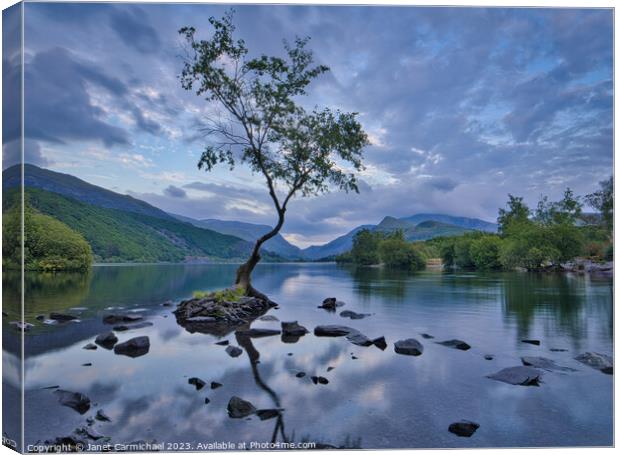 Serenity in Snowdonia Canvas Print by Janet Carmichael