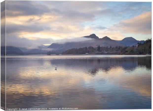 A Lone Gull at Derwentwater Canvas Print by Janet Carmichael