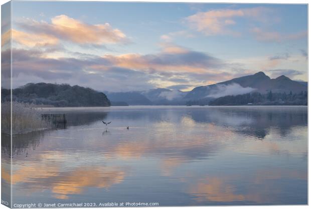 Gulls Feeding at Dawn Canvas Print by Janet Carmichael