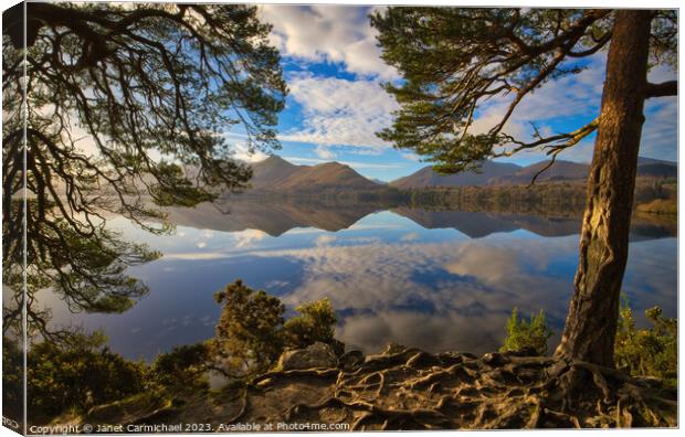 The View from Friars Crag Canvas Print by Janet Carmichael