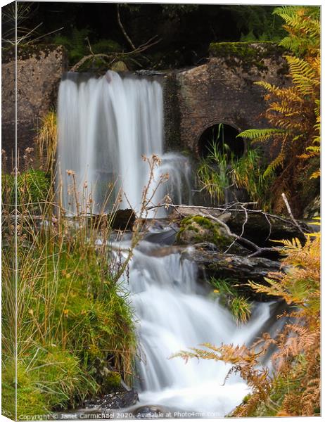 Serene Secret Waterfall Canvas Print by Janet Carmichael