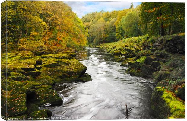 The Strid, Yorkshire Dales Canvas Print by Janet Carmichael