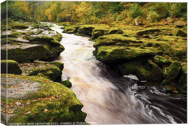 Thrilling Whitewater Rapids in Yorkshire Dales Canvas Print by Janet Carmichael