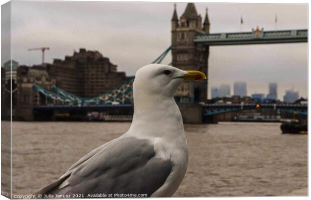 Seagull in London  Canvas Print by Julia Janusz