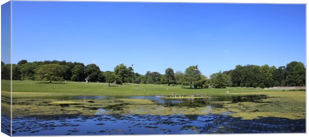 Lydiard Park lake and gardens near swindon Canvas Print by Ollie Hully