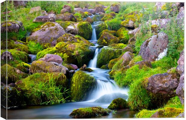 a waterfall in the Brecon Beacons Llyn Y Fan Fach  Canvas Print by Ollie Hully