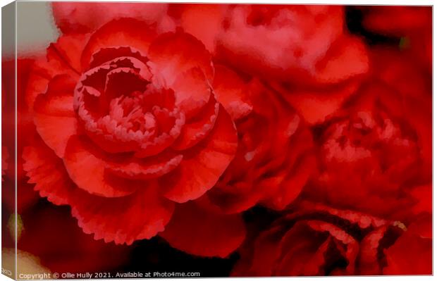 Red carnations digital art Canvas Print by Ollie Hully