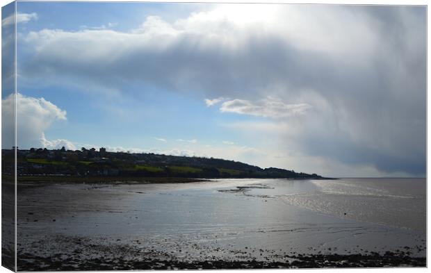 View from battery point of Portished somerset Canvas Print by Ollie Hully