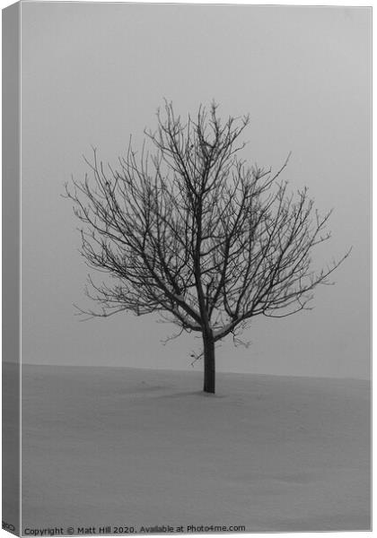Lone Tree on a snow covered hill. Canvas Print by Matt Hill