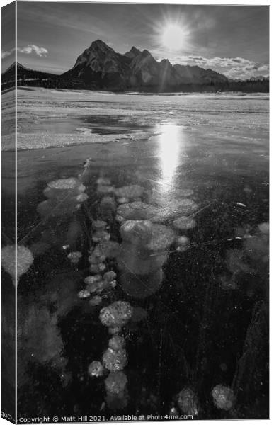 Frozen Ice bubbles on Abraham Lake Canvas Print by Matt Hill