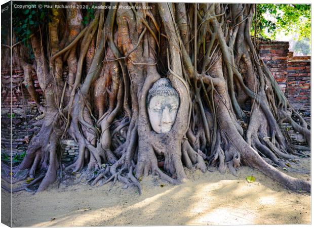 Buddha wrapped in tree roots Canvas Print by Paul Richards