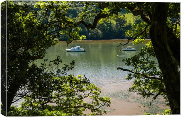 View from Malpas walk Canvas Print by Paul Richards