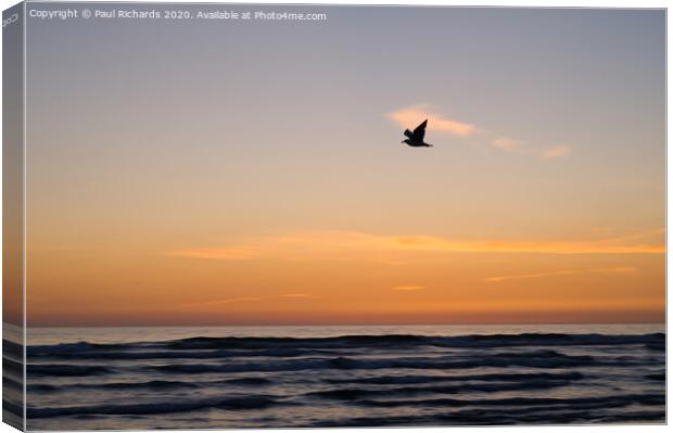 Bird and sunset Canvas Print by Paul Richards