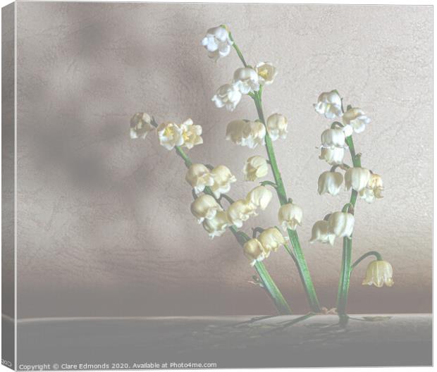 White Flowers Canvas Print by Clare Edmonds