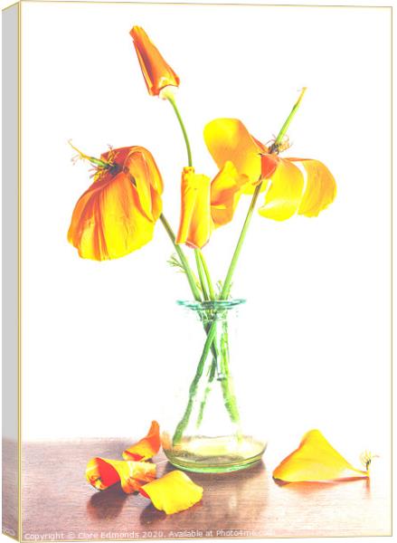 Orange Poppies Canvas Print by Clare Edmonds