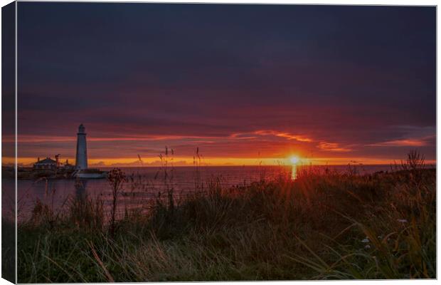 St Mary's Sunrise Canvas Print by Rob McAvoy