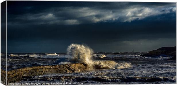 Cullercoats Bay Canvas Print by Rob McAvoy