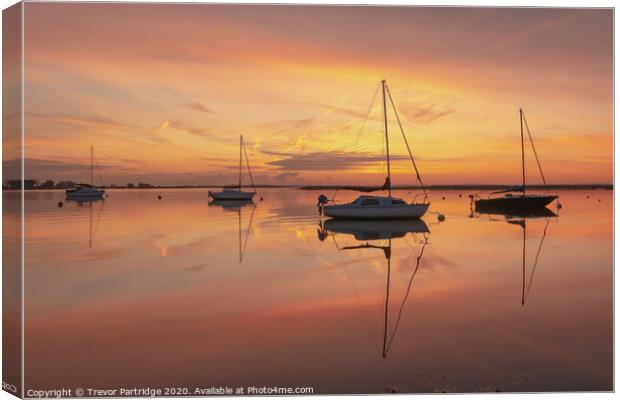 Tranquil Dawn Canvas Print by Trevor Partridge