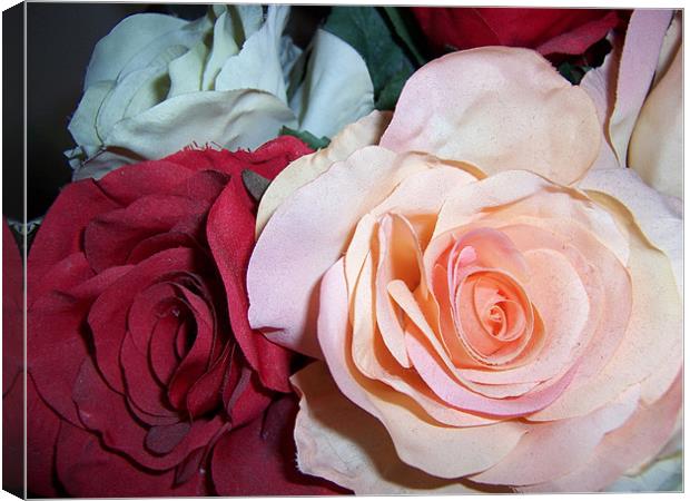 Fabric Roses Canvas Print by Les Morris