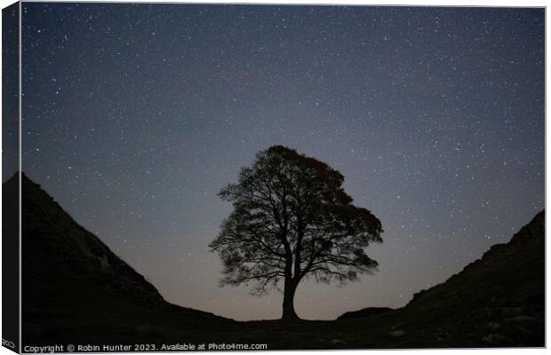 Sycamore Gap Dark Sky Canvas Print by Robin Hunter