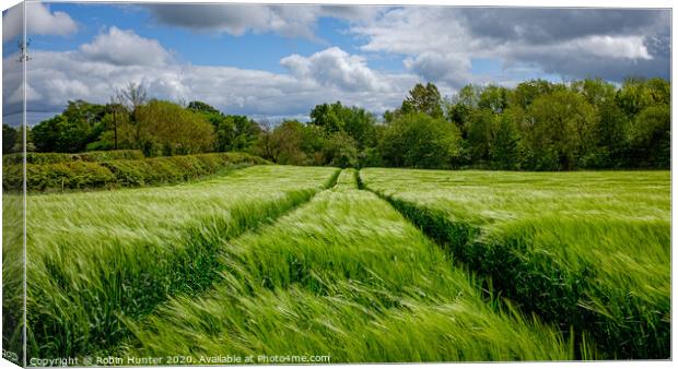 Fields of Green Canvas Print by Robin Hunter
