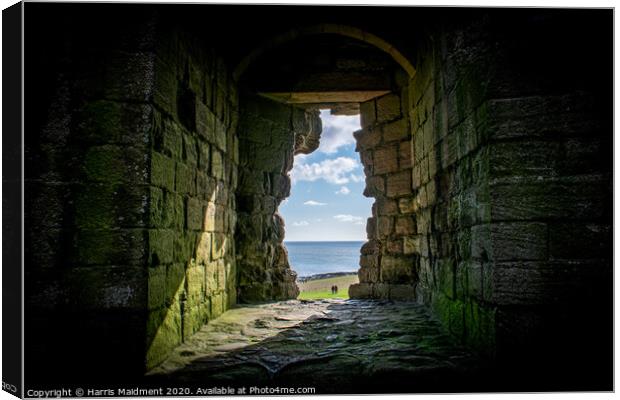 Ruined Window Canvas Print by Harris Maidment
