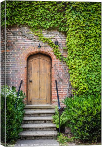 Ivy Doorway Canvas Print by Harris Maidment