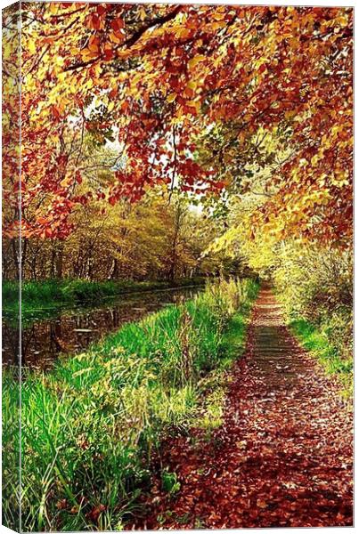 Union canal Winchburgh West Lothian Scotland  Canvas Print by Peter Dalton