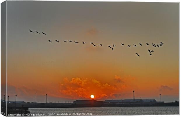 Flying Geese Canvas Print by Mark Brinkworth