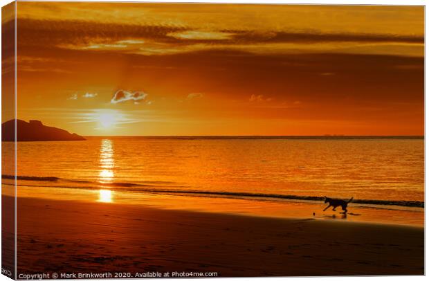 Dog Playing on Beach at Sunset Canvas Print by Mark Brinkworth