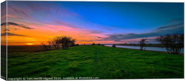Lincolnshire Sunset Canvas Print by Tom Hartfil-Allgood
