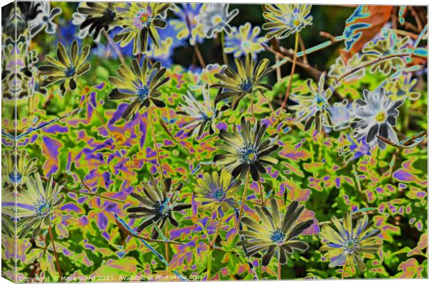 Solarized Spring Flowers. Canvas Print by Mark Ward