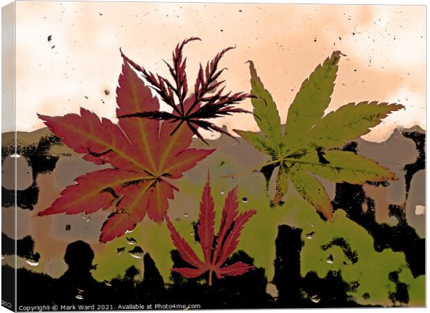 Acer View. Canvas Print by Mark Ward