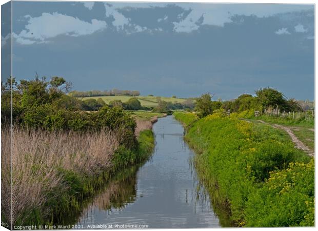 Royal Military Canal at Pett Level Sussex. Canvas Print by Mark Ward