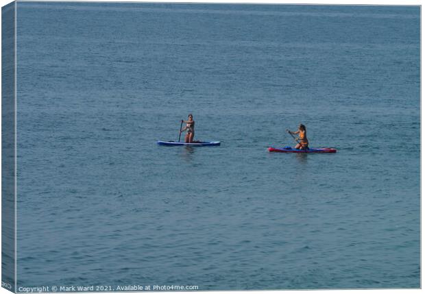 Paddle Board Fun in East Sussex Canvas Print by Mark Ward