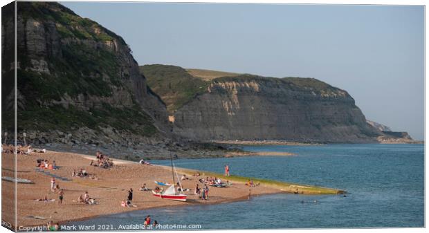 Sunshine at Hastings Cliffs Canvas Print by Mark Ward