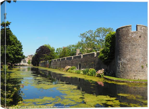 Wells Bishops's Palace Moat. Canvas Print by Mark Ward