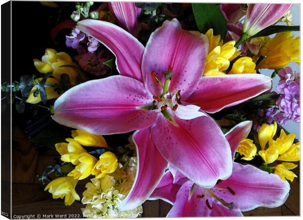 The Lily Explosion. Canvas Print by Mark Ward