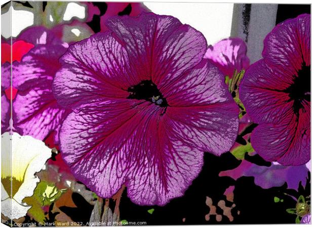 Posterized Petunia. Canvas Print by Mark Ward